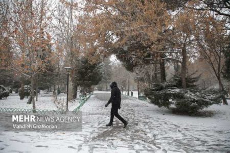 هوای سرد در تهران تا فردا ادامه دارد - خبرگزاری مهر | اخبار ایران و جهان