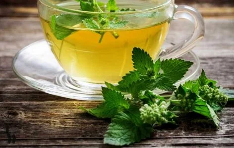 طرز تهیه دمنوش بادرنجبویه