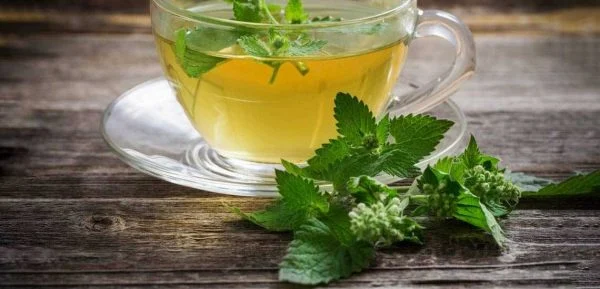 خاصیت بادرنجبویه برای لاغری