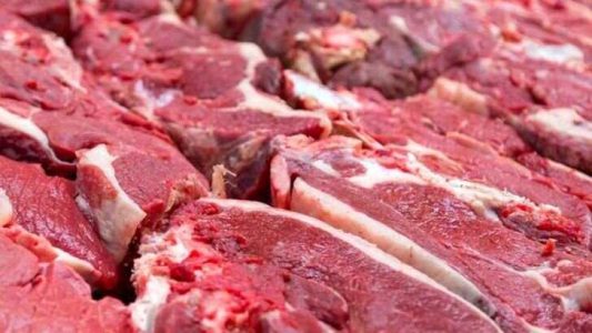واردات بیش از ۴۲ هزار تن گوشت قرمز در ۸ ماه گذشته - خبرگزاری مهر | اخبار ایران و جهان