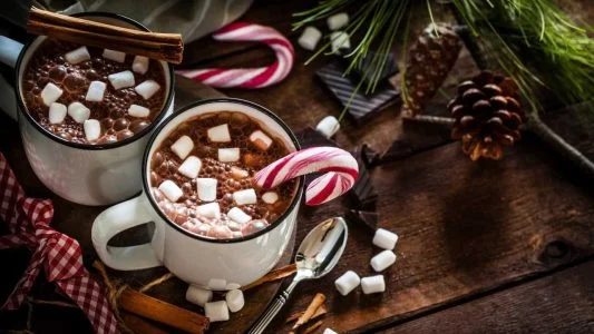 قهوه گانودرما برای افزایش وزن