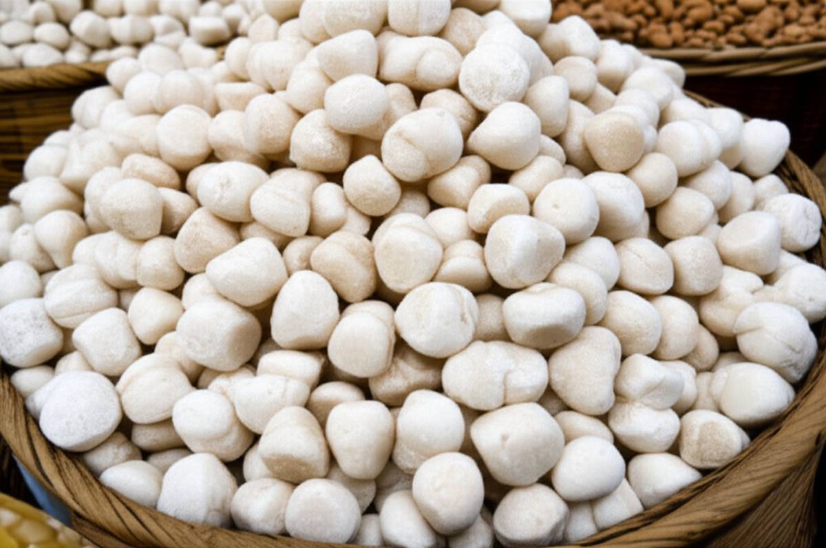 قیمت روز شکر پنیر عمده فله ای + خرید مستقیم